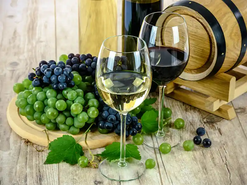 cave à vin en Ardèche
